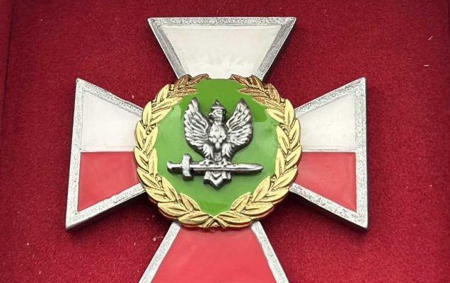 Odznaka honorowa wojsk lądowych w aksamitnym czerwonym futerale.