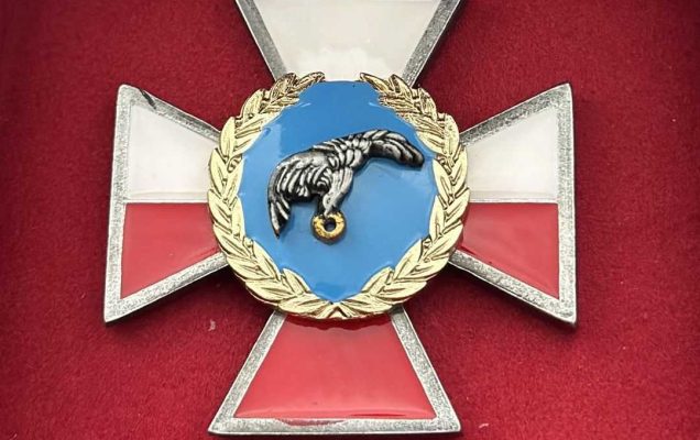 Odznaka honorowa wojsk lądowych w aksamitnym czerwonym futerale.