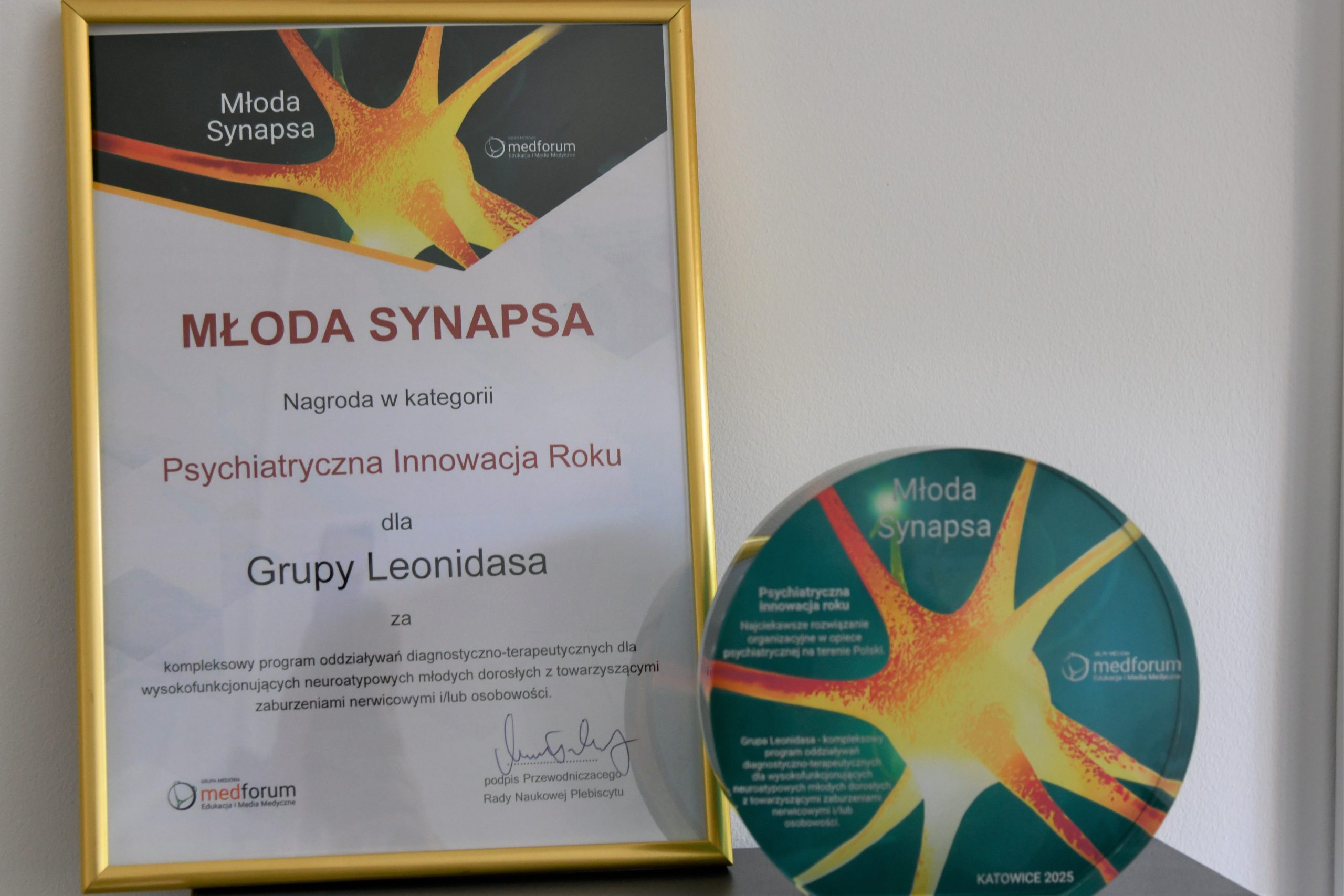 Dyplom i nagroda Młoda Synapsa.