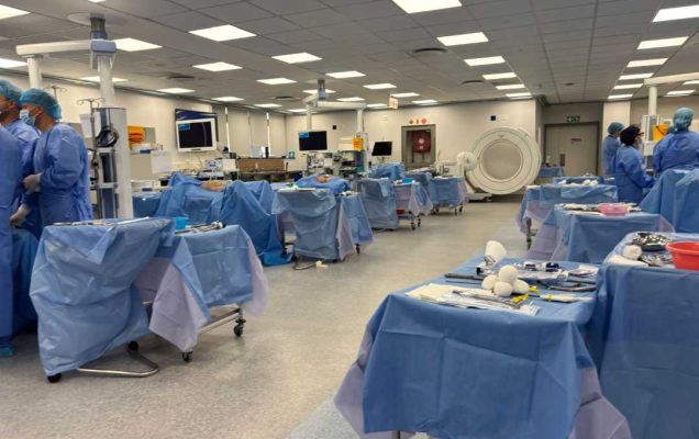 Lekarze podczas ćwiczeń chirurgicznych. Dwa rzędy stanowisk zabiegowych na dużej sali operacyjnej.