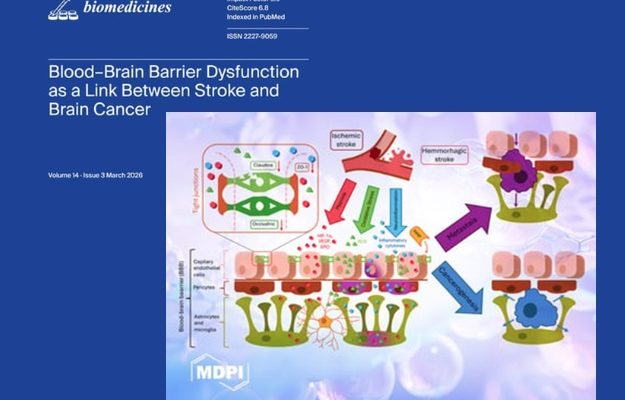 Infografika procesów komórkowych, fragment okładki wydawnictwa MDPI.