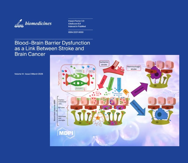 Infografika procesów komórkowych, fragment okładki wydawnictwa MDPI.